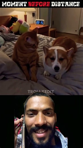 #memes #funny #indianlaughs #comedymemes #comedy #funnyimages #humor