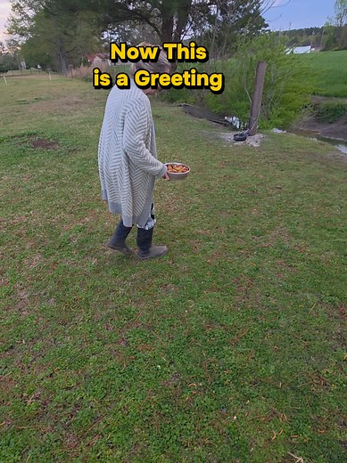 Nutria Greeting: Wildlife Encounter