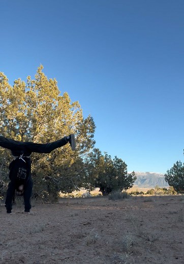 Fun Tree Climbing Activities for Outdoor Enthusiasts