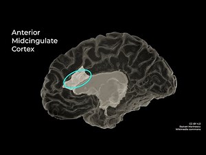 Why hard challenges are good for you | Martina Löfqvist | TEDxSkemaParis