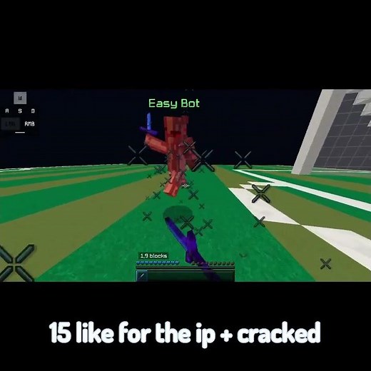 The best cracked server with bots