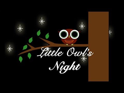Little Owl's Night