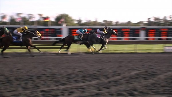 Arlington Park closes after nearly a century of horse racing in the Chicago area