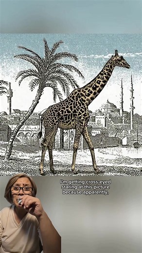 Can You Spot the Hidden Giraffe? Optical Illusion Challenge 🦒