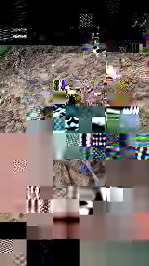 40K views · 766 reactions | Halter training ... | No Verbal Filter | Facebook