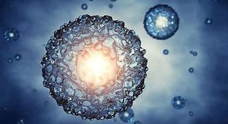 原来细胞分裂时是如此好看！