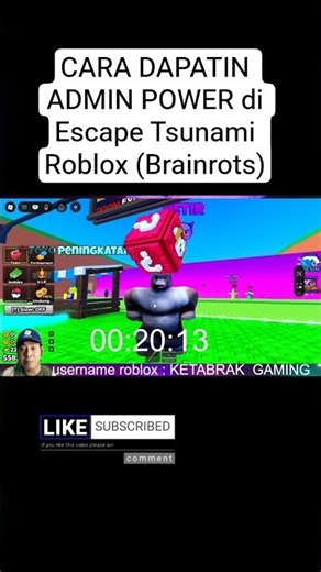 HOW TO GET ADMIN POWER in Escape Tsunami Roblox (Brainrots)