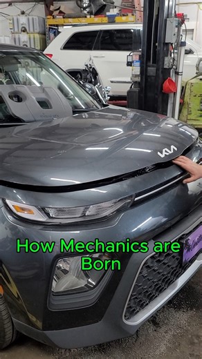 The Birds and the Bees, according to mechanics. | Van's Auto Service