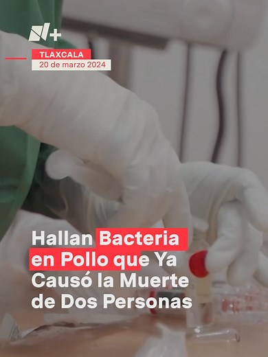 Las autoridades sanitarias del estado de Tlaxcala reportaron el 20 marzo el segundo fallecimiento a consecuencia del síndrome de Guillain-Barré. Además el 19 de marzo llevaban detectados 26 casos positivos de Campylobacter jejuni, la bacteria causante del padecimiento. #tiktokinforma #parati #salud #tlaxcala #guillainbarré