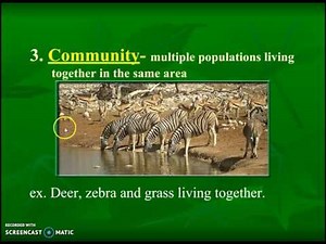 Ecological Levels of Organization (Theme 1 Topic 1 pg 4)