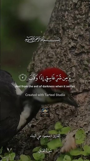 Surah Al-Falaq by Reciter Mohamed Ali Al-Banna | A Soulful Recitation that Brings Peace #SurahAlF...