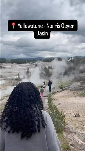 Yellowstone - Norris Geyer Basin