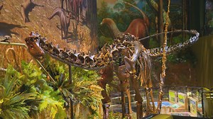 Dinosphere exhibit reopens at Children's Museum following renovations