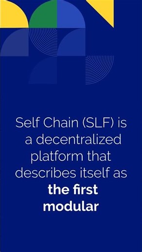 What Is Self Chain #shorts