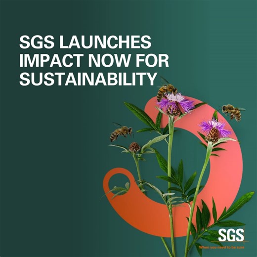 242K views · 314 reactions | We’re proud to announce the launch of IMPACT NOW for sustainability, a new concept in the delivery of sustainability services designed to address ever-changing market demands and the urgent needs of the planet. https://bit.ly/40wtrzK #IMPACTNOW #sustainability #WhenYouNeedToBeSure | SGS | Facebook