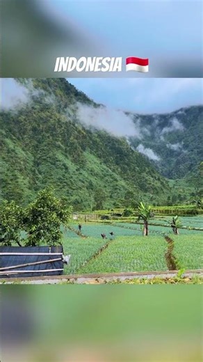 Walking Through the Most Beautiful Mountain Village in Indonesia | Looks Straight Out of Europe!