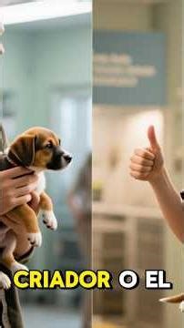 Los primeros cuidados de tu cachorro.