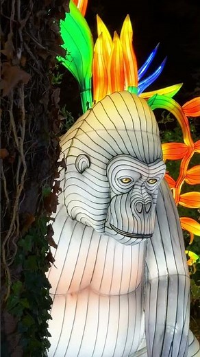 Lanterns of the Wild at Twycross Zoo⭐️🦍