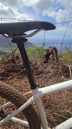 Here’s my Mountain Bike Gear MVP of the Year — the EXA Dropper Post!