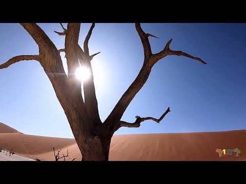 Namibia Tours & Safari - Africa Moja Tours & Safaris