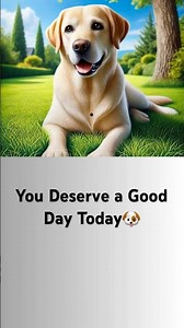 You Deserve a Good Day Today🐶