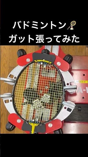 ラケットのガット張ってみた #バドミントン #ガット張り #3分クッキング