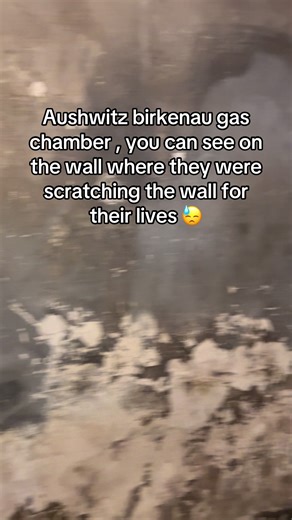 Visiting Auschwitz: A Harrowing Reminder of History