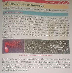 Main Characteristics of Domain ArchaeaWhat are the main chara... | Filo