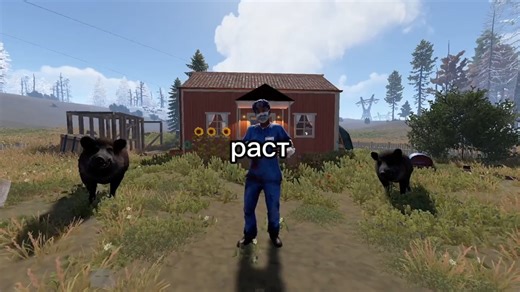 Exploring the World of Rust: A Guide to Gameplay