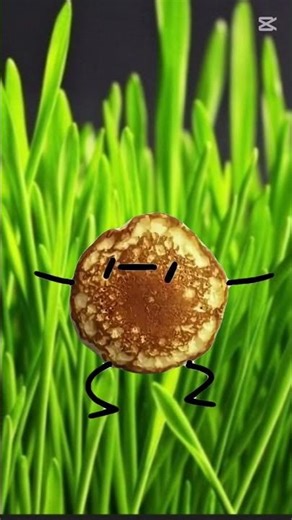 pancake meme #meme