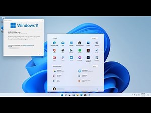 Full Windows 11 installation on HP 250 G6