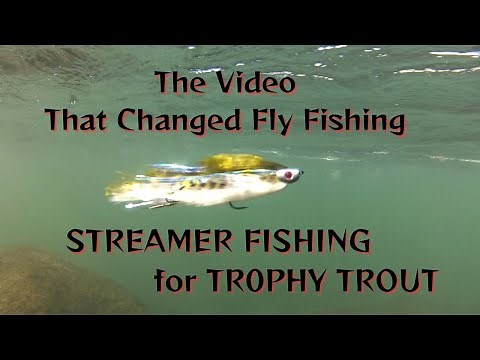STREAMER FISH FOR TROPHY TROUT