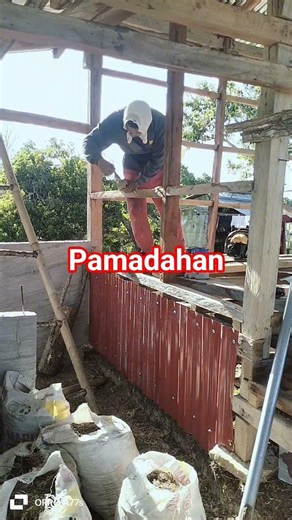 iwas anay