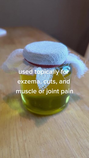 making pine oil #pineinfusion #medicinalplants #musclerub #pineneedleoil #pineessentialoil