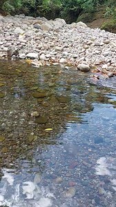 Río el Paso #chiriqui #panama #landscape | Yo amo Chiriquí