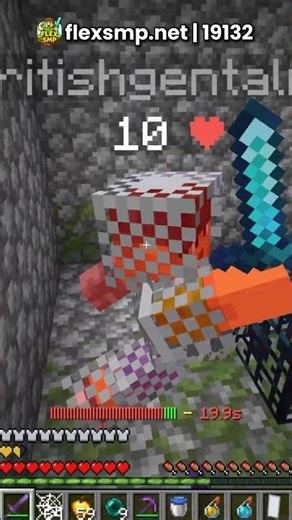 This Public Minecraft SMP Owner Has 200 IQ