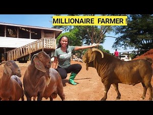 Building A Simple Goat House & Goat's Best Feeds! 2026!