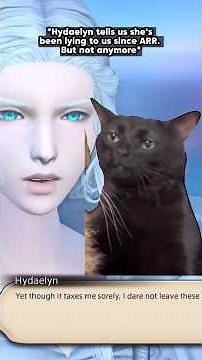 Endwalker Story Summary - Cat Memes #ffxiv