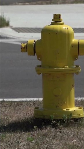 Why Fire Hydrants Are Bright Colors (Hidden Design)