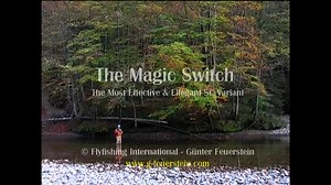 The Magic Switch - The Most Efficient Switch Cast Variant