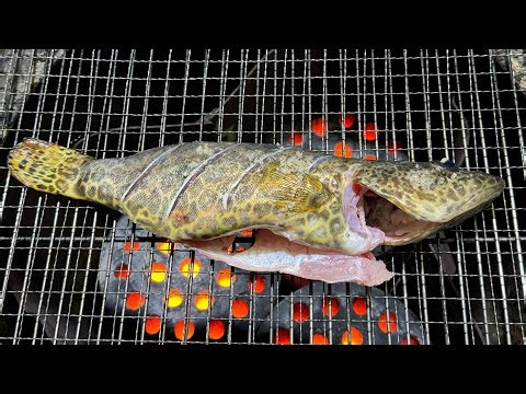 시골에서 극소수만 맛볼 수 있는 쏘가리 연탄구이!