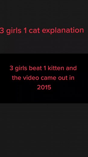 3 girls 1 cat explained #3girls1cat #hitman #fyp
