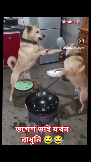 ডগেশ ভাই যখন রাধুনি 😂😂#viral #youtubeshorts #funnyvideo #shorts #funny #comedy ‪@DhruboJT‬ #dog