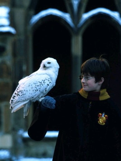 Ron Weasley: La Peor Traición en Harry Potter