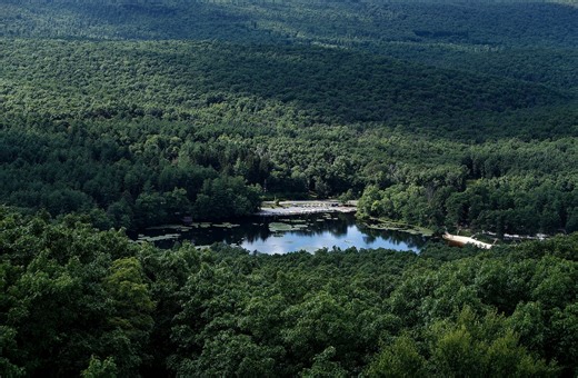 High bacteria levels close swimming at Cumberland County lake