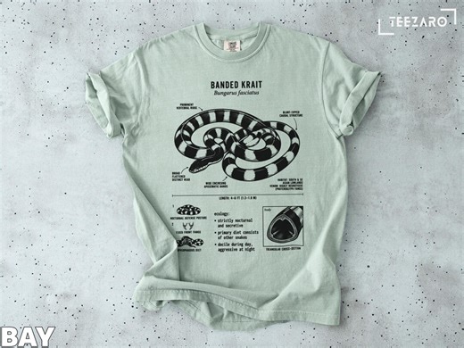 Banded Krait Snake T-shirt | Scientific Illustration Reptile Tee - Etsy