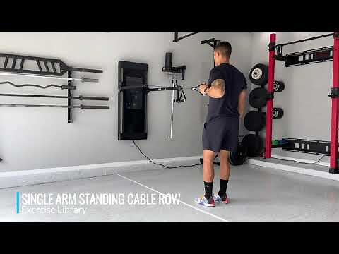Single Arm Standing Cable Row