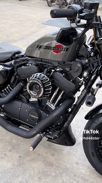 Sportster Forty Eight: Unleash the Ride