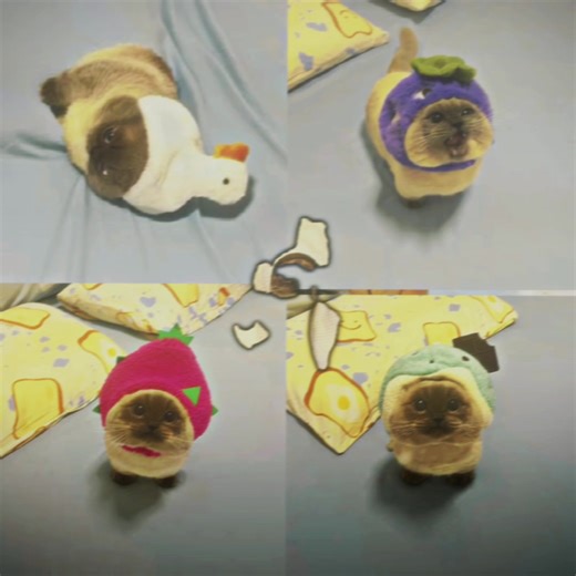 Creative Reverse Video Techniques with CapCut