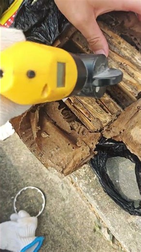 # termite control #How to get rid of termites #termite control Have you ever seen this way of getti